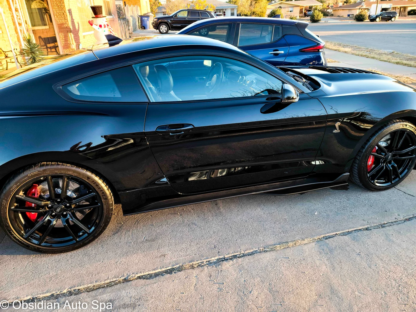 Side view of a black Shelby photographed outdoors